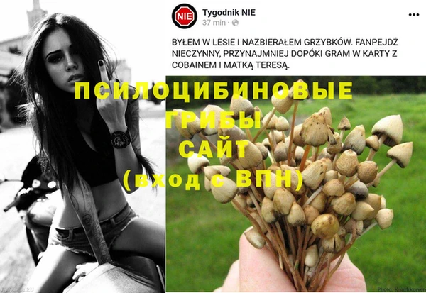 мескалин Алзамай