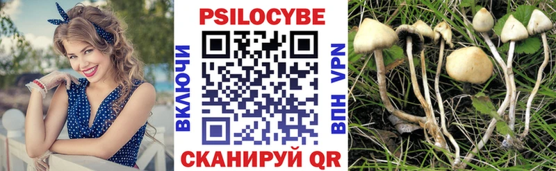 Псилоцибиновые грибы Psilocybe  Павловский Посад 